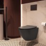 Унитаз Vincea Globo VT1-14STMA