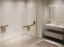 Душевая перегородка Vincea Walk in 110 VSW-1HR110CLG