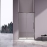 Душевая дверь Vincea Slim-N 100 VDP-4SN100CLGM