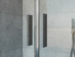 Душевая дверь Vincea Garda 170 VDS-1G2170CH